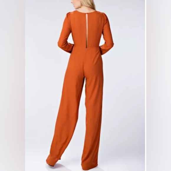 Rust Plunging Neckline Jumpsuit - Picture 11 of 11